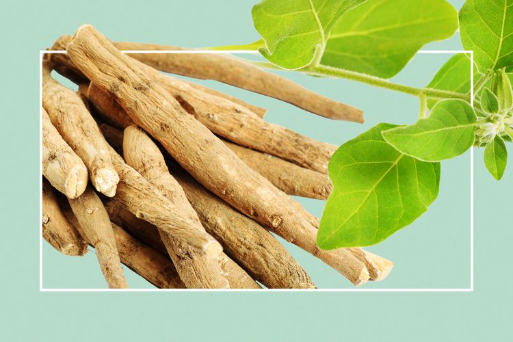 Ginseng Ashwagandha 100 % indien